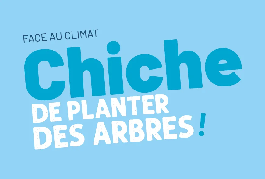 Planter des arbres, The Climate Company